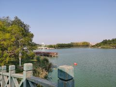 -塘沽森林公园