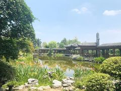 -大湾区中央湿地公园