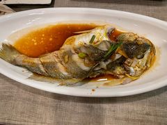 -锦顺海鲜•口味菜(李村店)