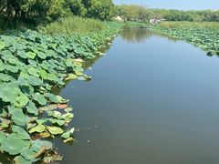 -同里国家湿地公园