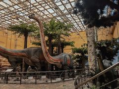 -国家自然博物馆