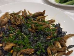 -品泉餐厅·大盆鱼·走地鸡