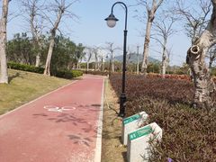 -芒洲湿地公园