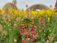 -中国天府农业博览园