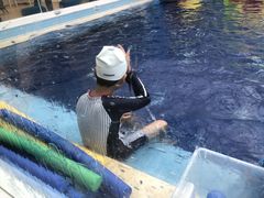 -龙格亲子游泳俱乐部(常熟中心店)