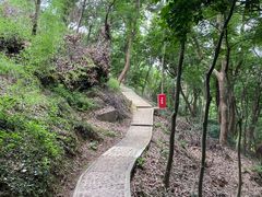 -上海佘山国家森林公园天马山园