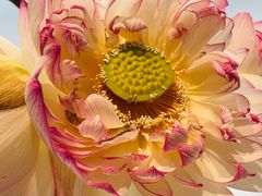 -上海植物园-4号门售票处