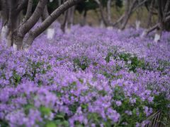 -白塘生态植物园