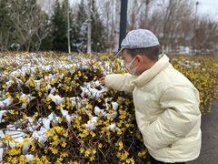 -永定河休闲森林公园