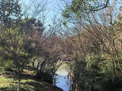 -宝岩生态观光园