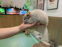 -藦茜花园宠物主题亲子互动体验馆(国顺东路店)