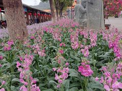 -仙岳公园