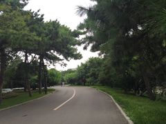 -钓鱼台国宾馆