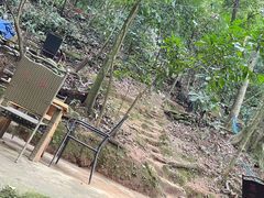 -凤栖山