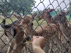 -西安秦岭野生动物园