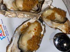 生蚝-领鲜活海鲜榴莲自助火锅(东门店)