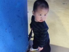 -烟台海昌鲸鲨海洋公园