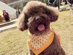 -一尺花园(安和花园店)