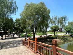 -白洋淀风景区