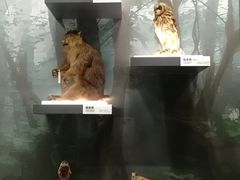 -四川大学博物馆