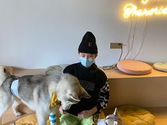 -Husky Go! 哈士奇体验馆·宠物咖啡厅狗咖