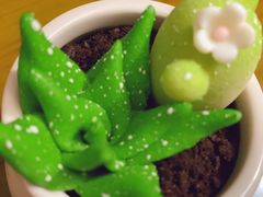 盆栽蛋糕-85度C(上海广元店)
