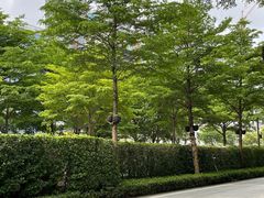 -御公馆中餐厅·点心·顺德菜·佛山东平保利洲际酒店