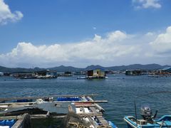 -东山码头