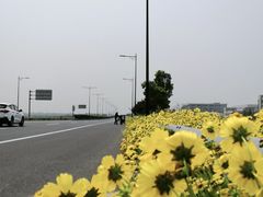 -祝甸砖窑文化馆