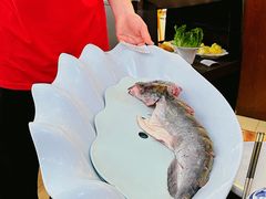 -老刘生态大鱼坊铁锅炖鱼(赛马场店)