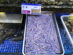 -欢乐海岸美食联盟
