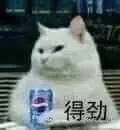 -教师之家赵家羊汤馆(东青龙街店)