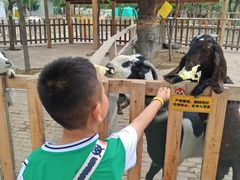 -水上乐园·欢乐世界