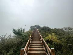 -大岭沟猕猴桃谷风景区