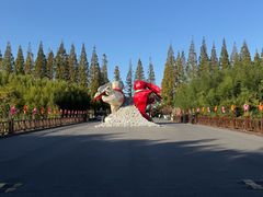 -黄海国家森林公园