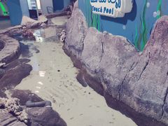 -苏州海洋馆