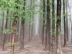 -山王坪喀斯特国家生态公园
