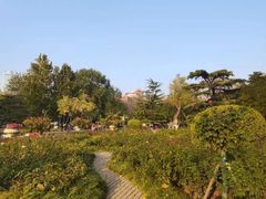 -睦南公园