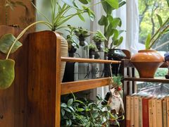 -街角 T·COFFEE 融合料理·BISTRO(车公庙店)