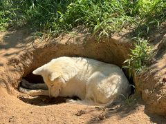 -西霞口神雕山野生动物世界