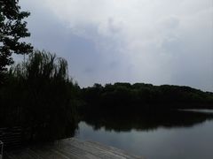 -昆山城市生态森林公园