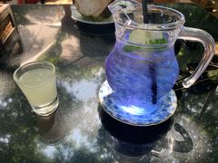 -Fern Forest Cafe