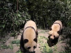 -武汉园博园(武汉自然博物馆)