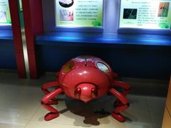 -上海昆虫博物馆