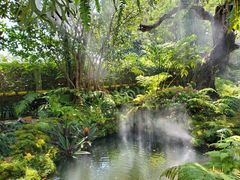 -Chom Cafe and Restaurant