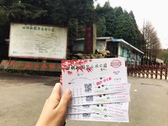 -四明山国家森林公园