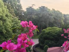 -杭州香格里拉·香宫中餐厅