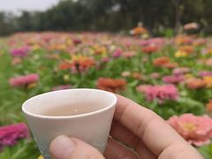 -汉长安城未央宫国家考古遗址公园