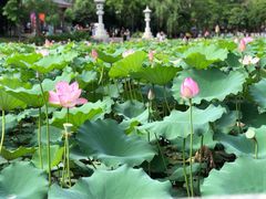 -惠州西湖丰渚园