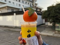 一颗橙子-COMPANION COFFEE小伴咖啡